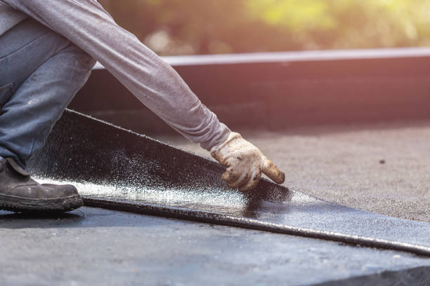 Professional Interior Drainage System technician working in Irons, MI